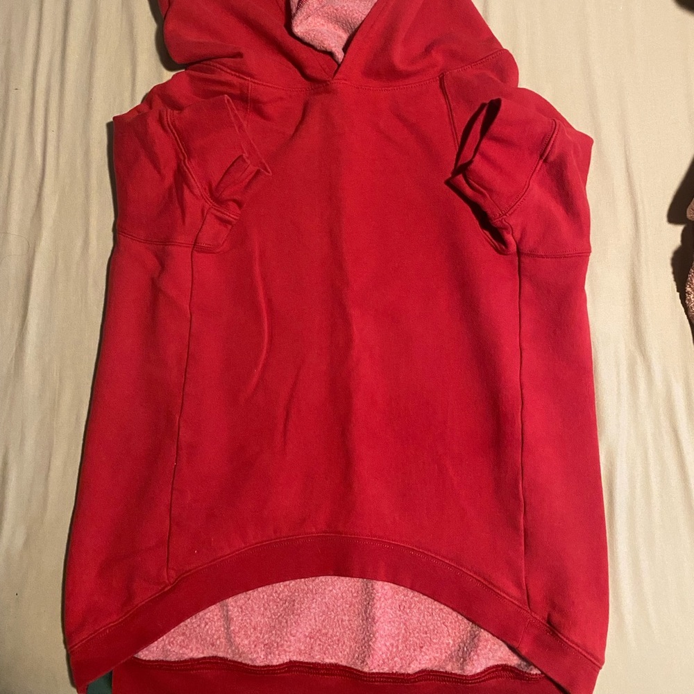 Red Hoodie for dog